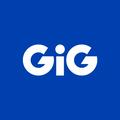 Gaming Innovation Group logo